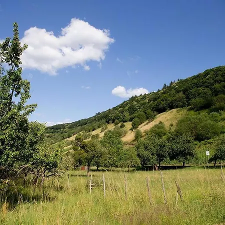 Moseltraum-villa Bei Trier *