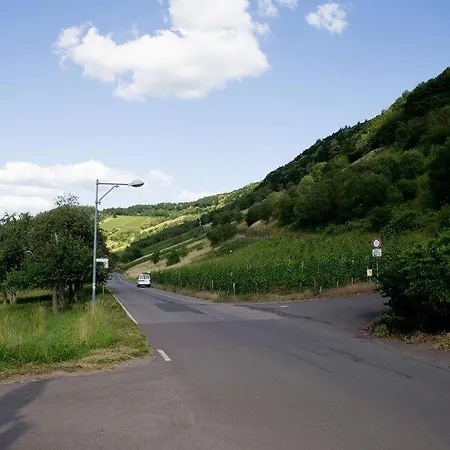 Moseltraum-villa Bei Trier * Kenn