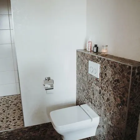 Moseltraum-villa Bei Trier Апартаменты *