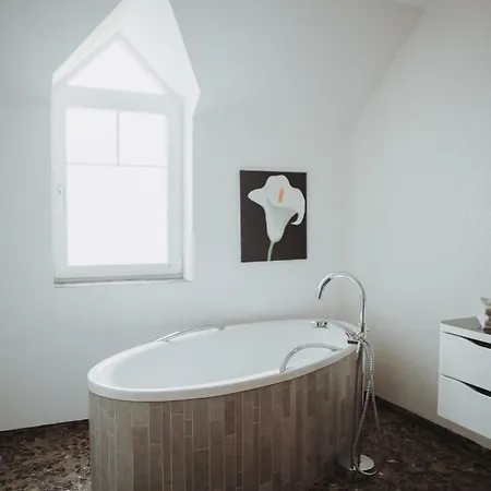 Апартаменты Moseltraum-villa Bei Trier