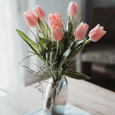 Moseltraum-villa Bei Trier